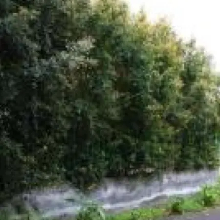 Autostrada A 18 Джарре